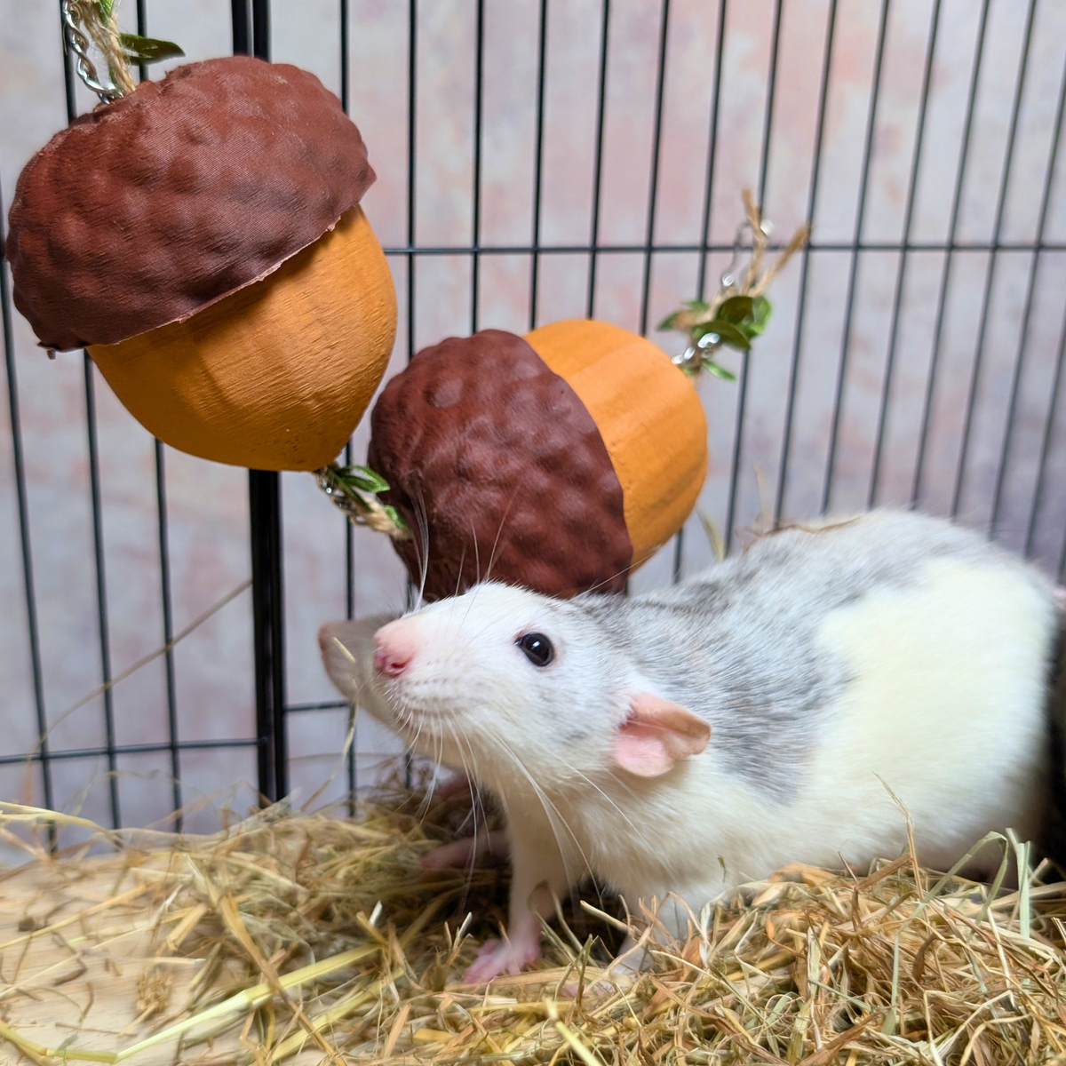 Cute Rat Toy Foraging Garland close-up of foraging cups