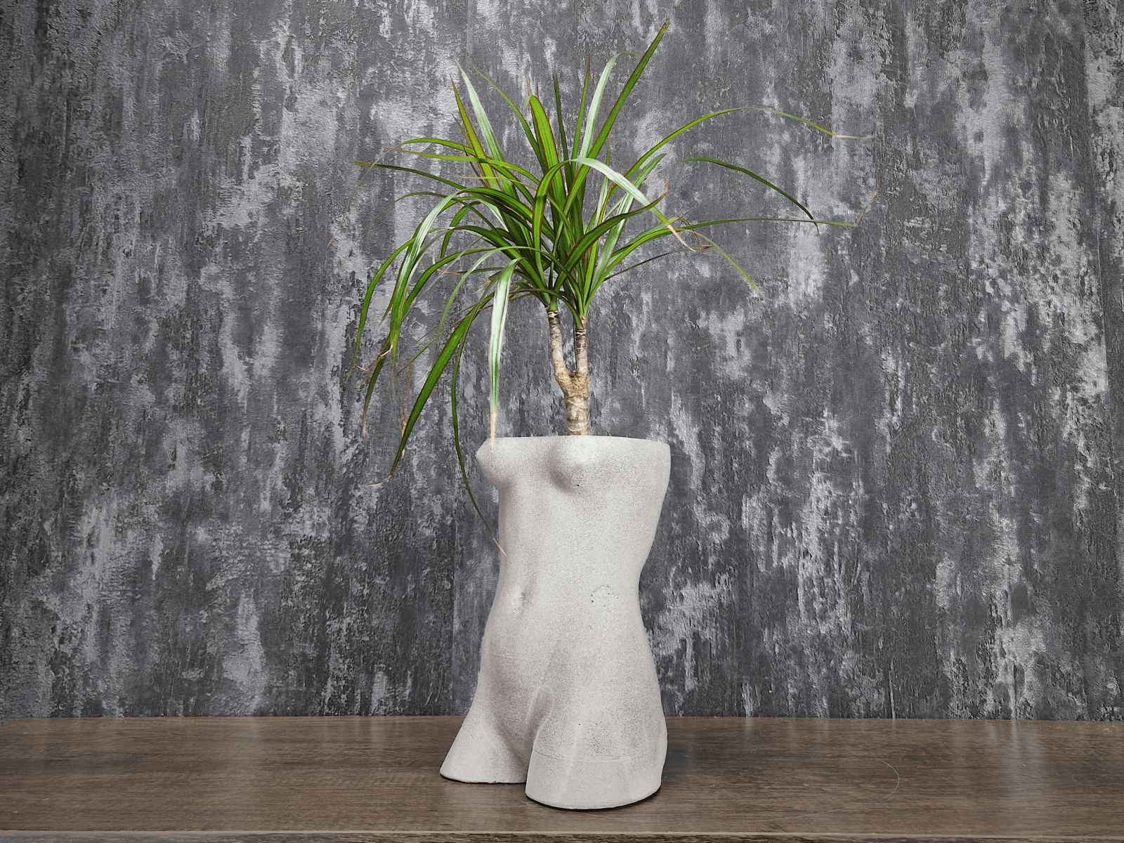 David & Venus Statue Pots