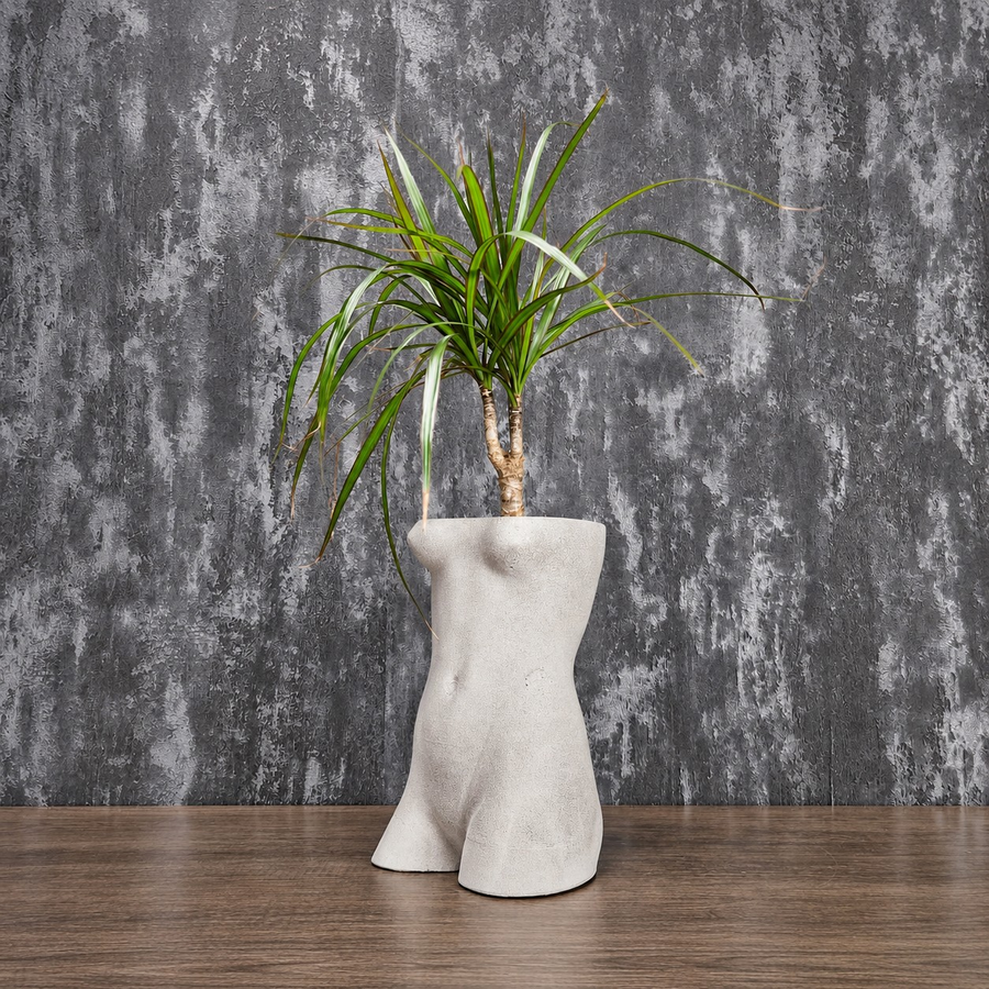 Venus de Milo torso planter filled with a spider plant