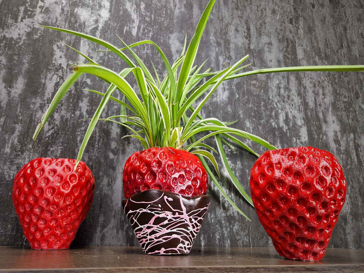 Strawberry & Chocolate Planter styled in home setting