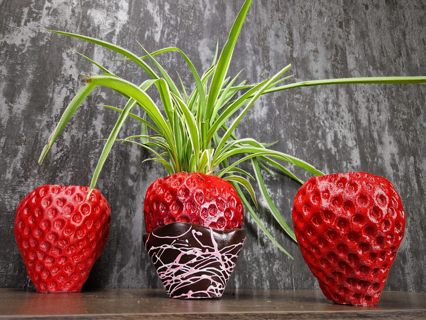 Strawberry & Chocolate Planter