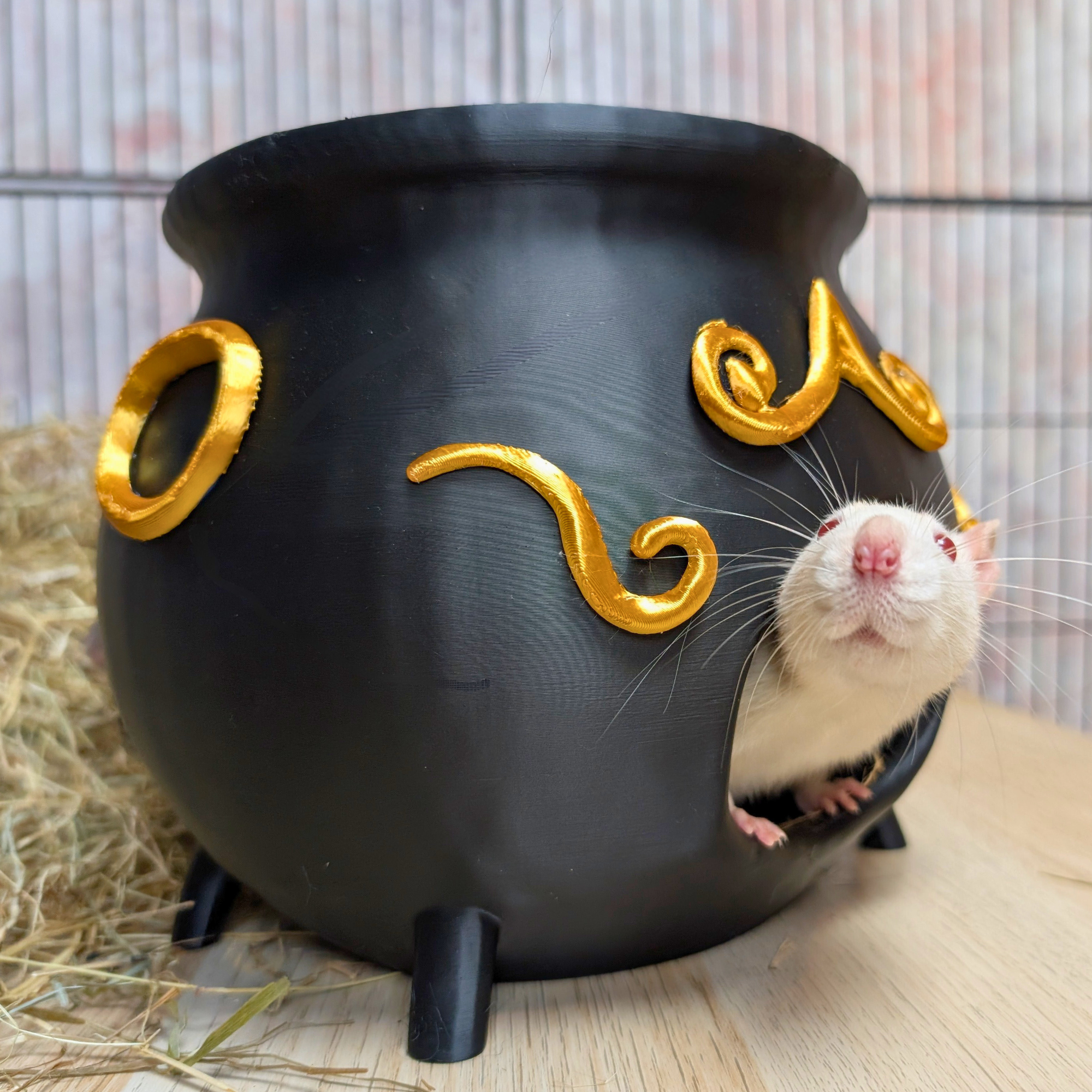 Rat Hide Witch Cauldron
