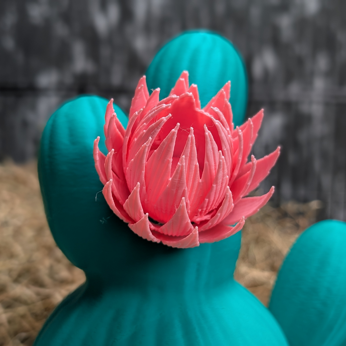 Cactus Rat House & Pet Bed - additional view