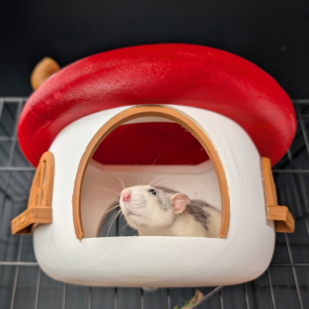 Fairy Mushroom Rat Hide