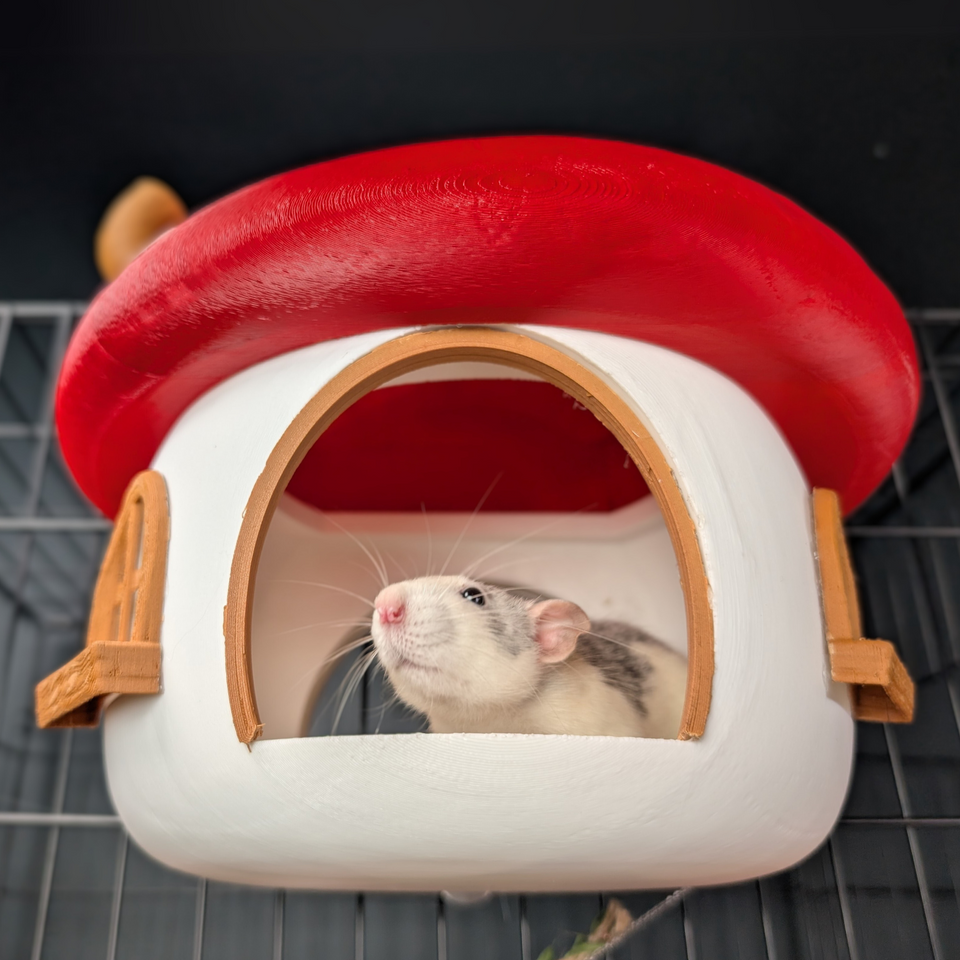 Fairy Mushroom Rat Hide side profile view