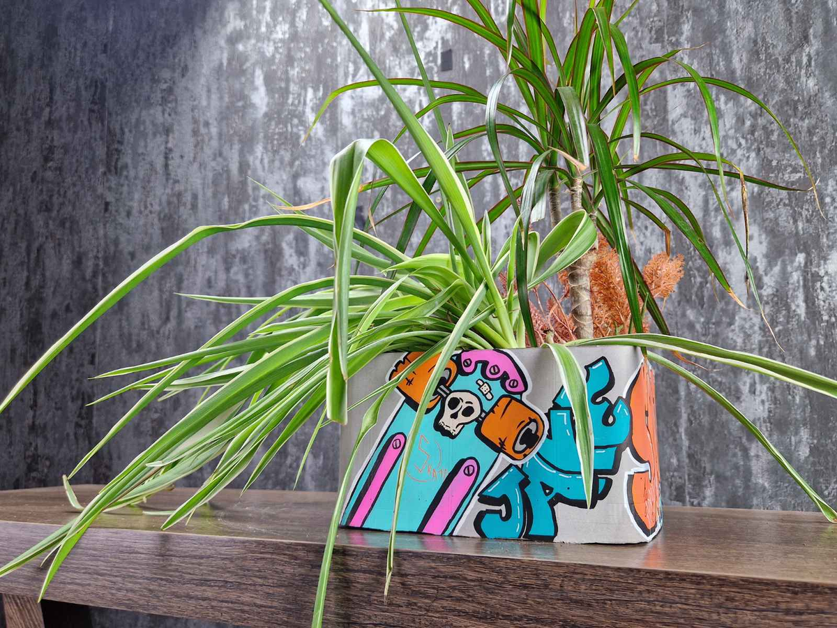 Graffiti Quarterpipe Planter styled in home setting