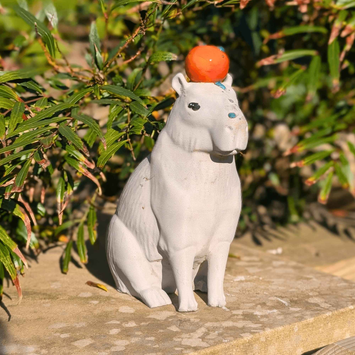 Capybara with orange cast stone sculpture for garden display