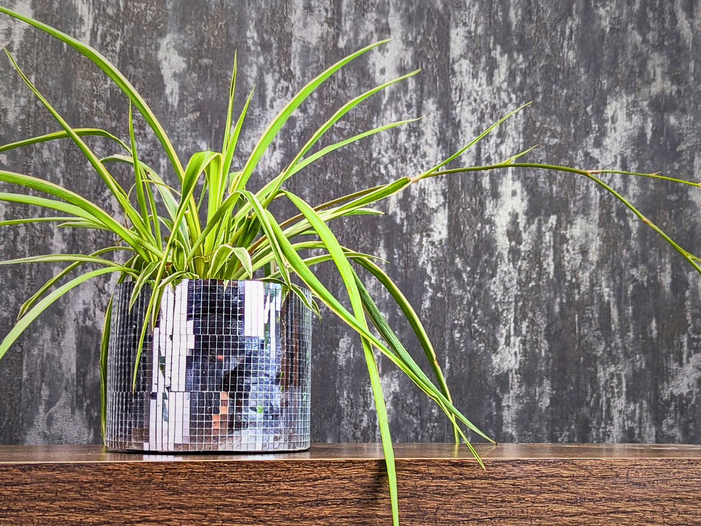 Disco Ball Plant Pot