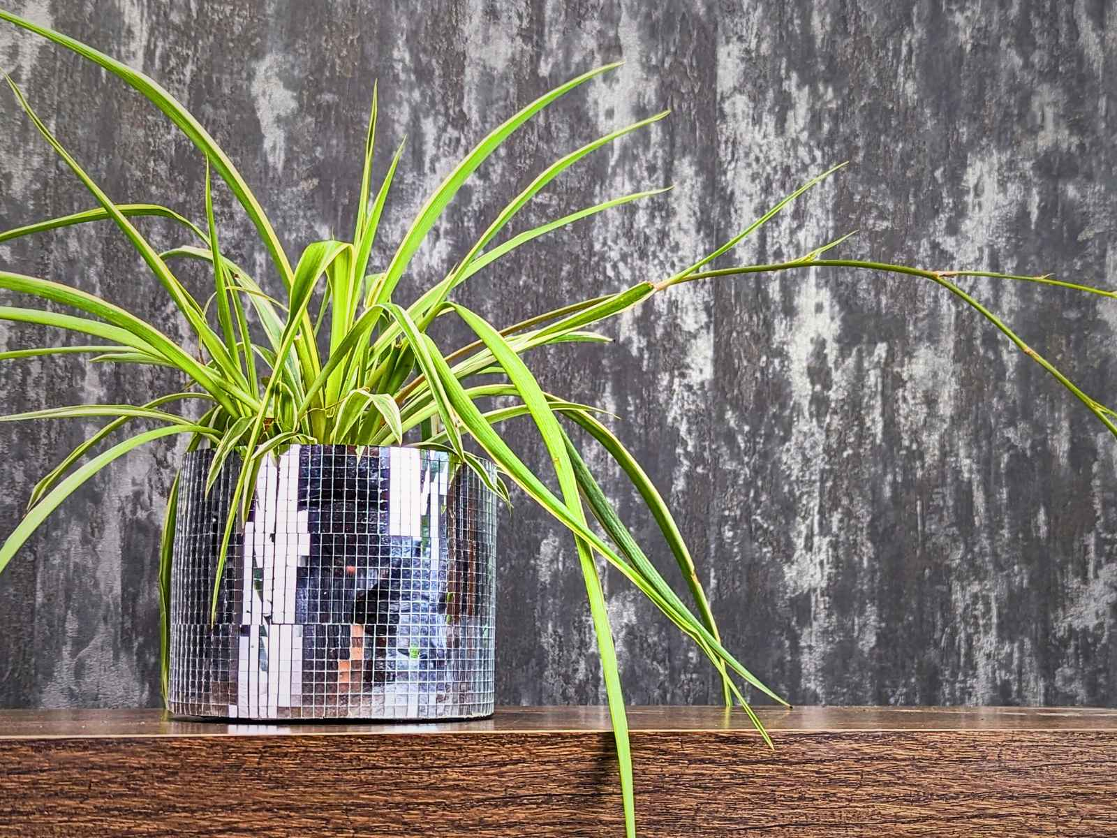 Disco Ball Plant Pot