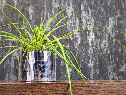 Disco Ball Plant Pot