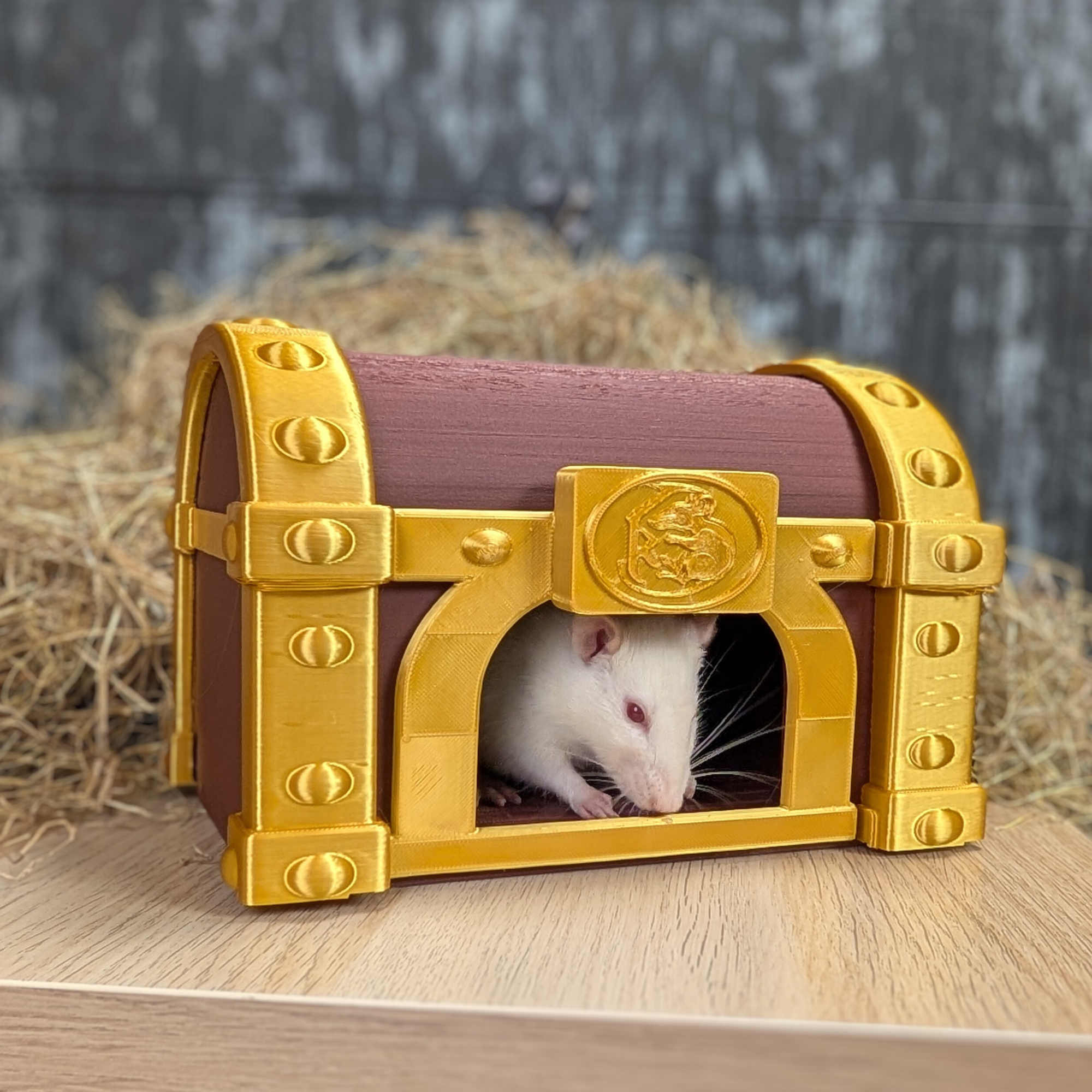 Treasure Chest Rat Hide