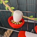 Fairy Mushroom Rat Cage Accessory Kit styled in home setting