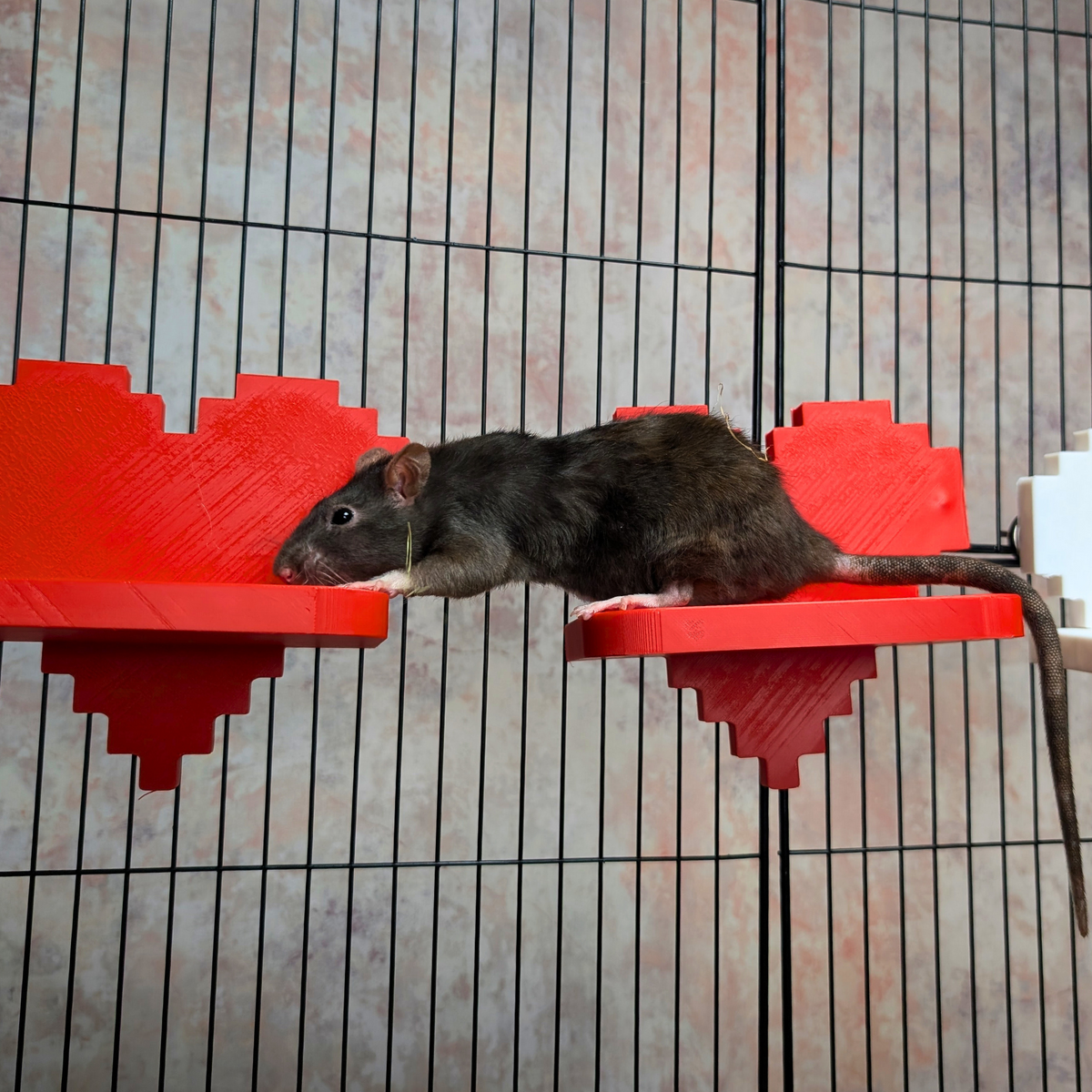 Pixel Heart Rat Cage Shelves mounted on cage bars