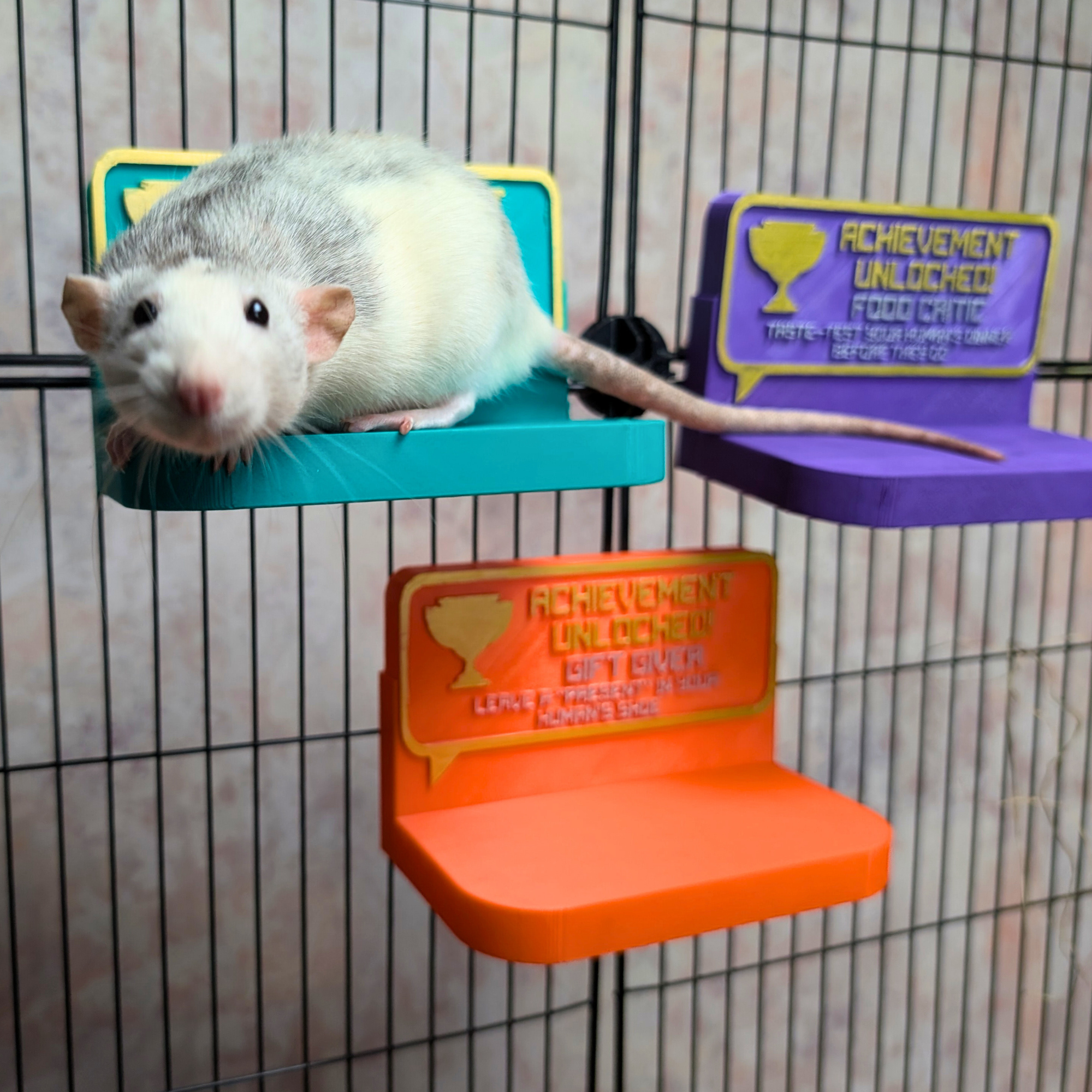 Cute Rat Toy & Custom Shelf