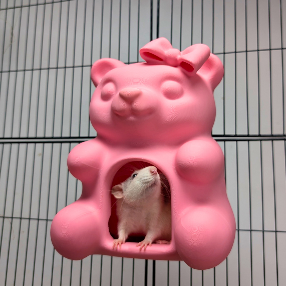 Cute Sweet Bear Rat Hide & Bed front view showing entrance