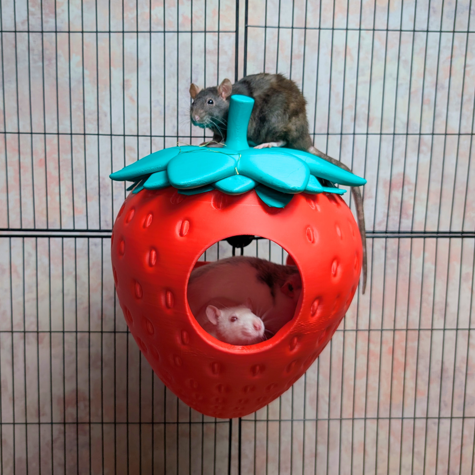 Strawberry Pet Bed & Cute Cage Accessory