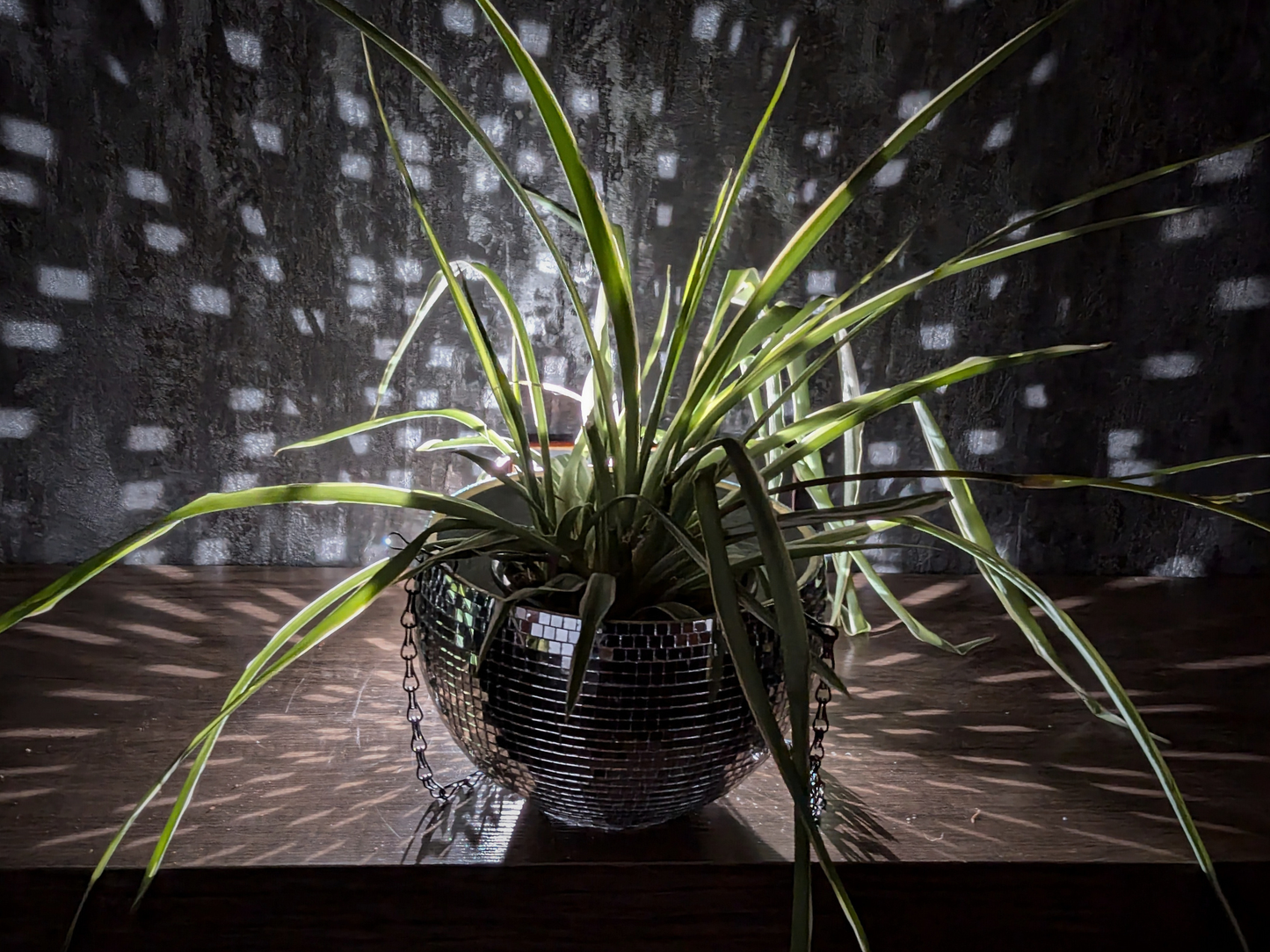 Hanging Disco Ball Planter