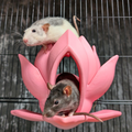 Cute Lily Rat Bed & Hide Set side profile view