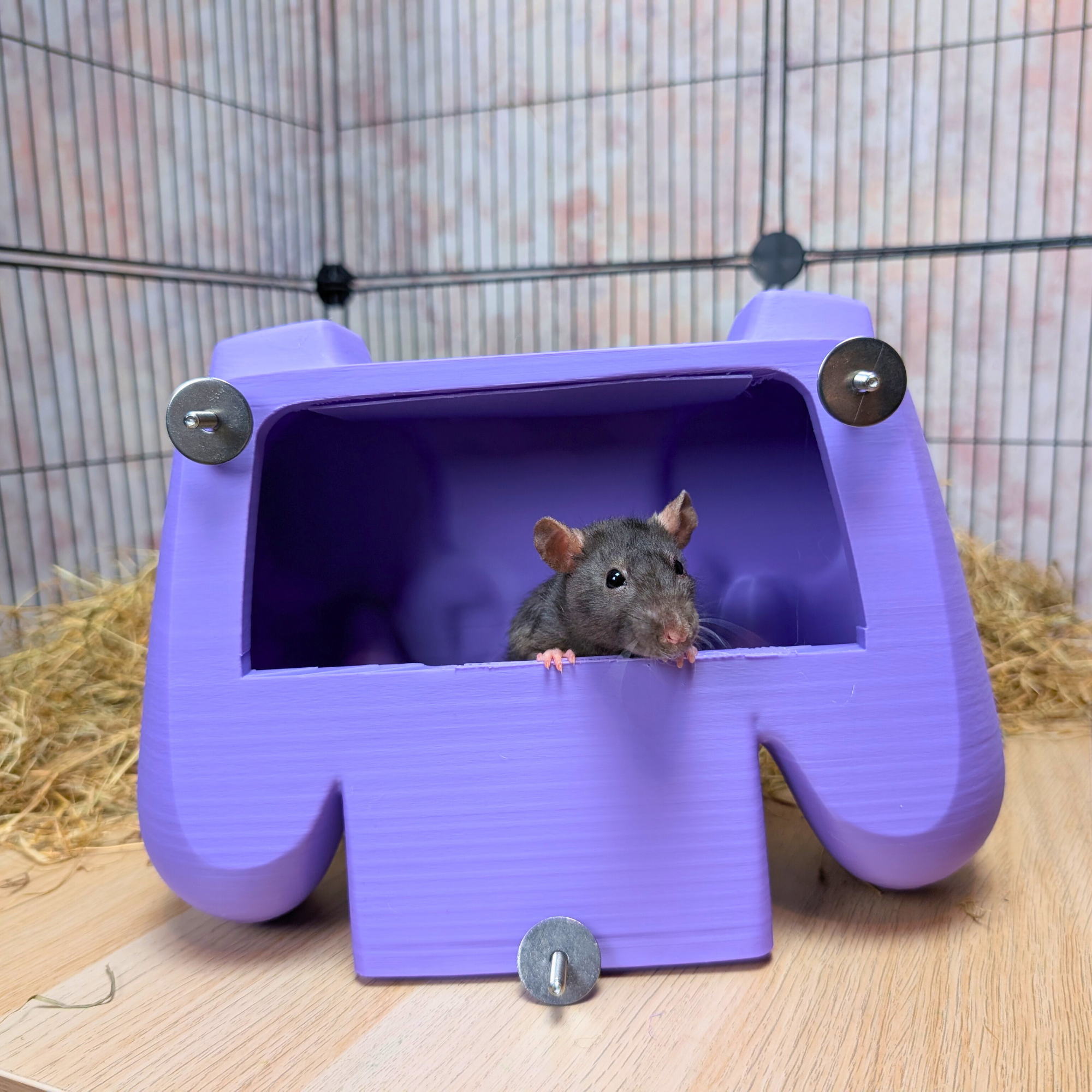 Rat Hide Controller for Cage