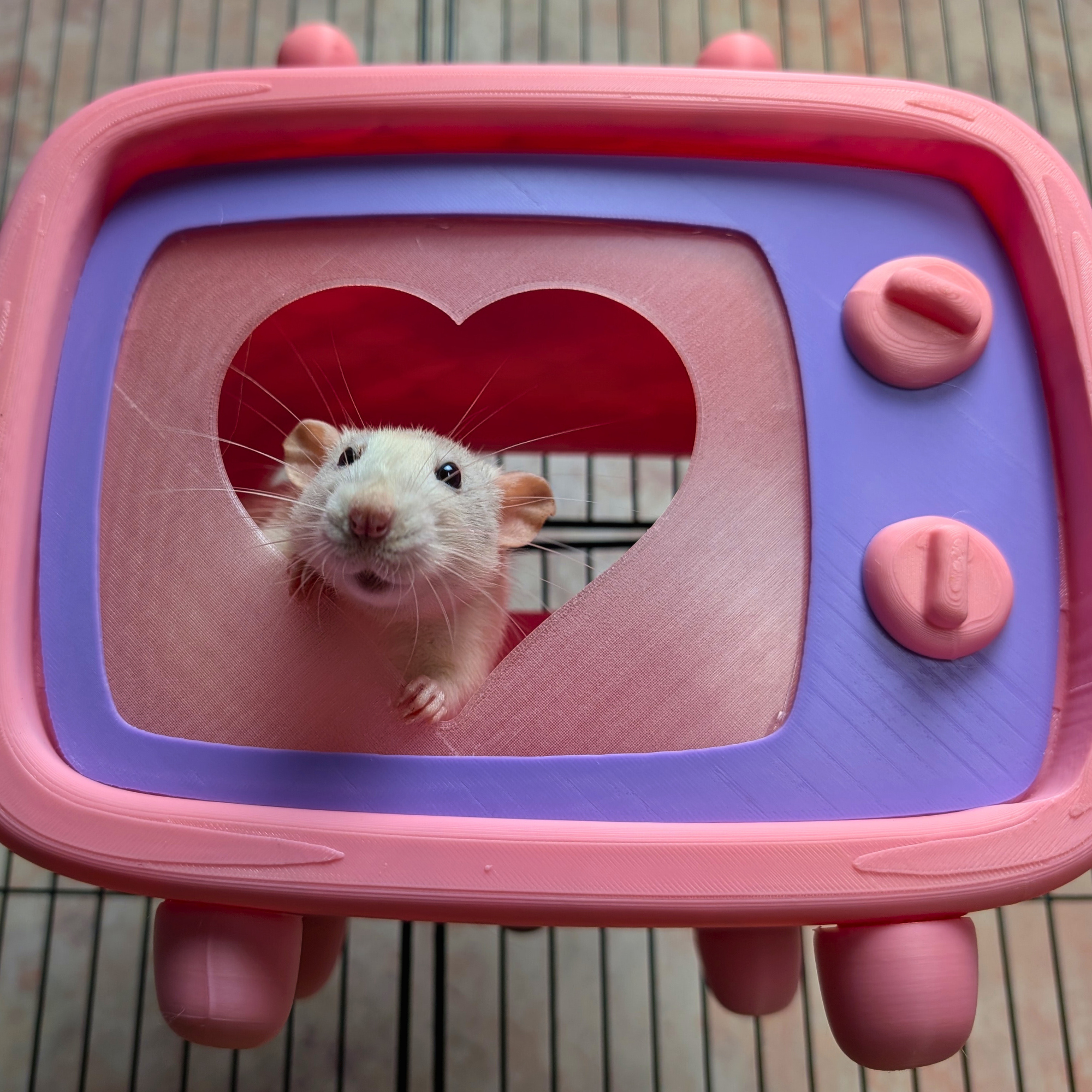Rat Hide Retro TV