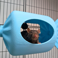 Blue Sweetie Rat Hide & Bed front view showing entrance