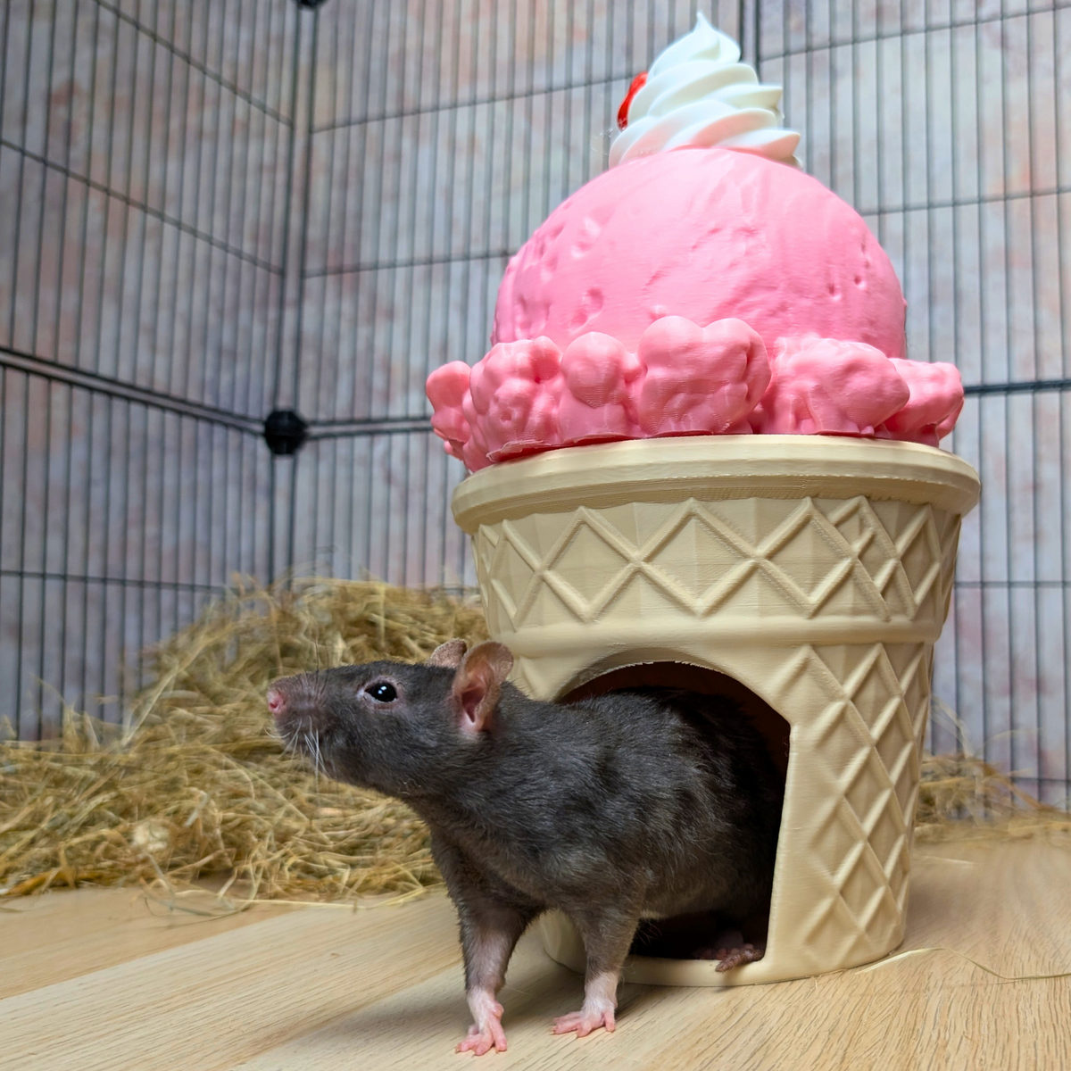 Ice Cream Cone Rat Hide - handcrafted cage accessory | Ripleys Nest