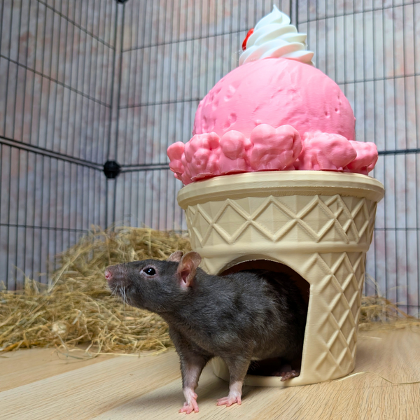 Strawberry Ice Cream Cone Cave for Cage