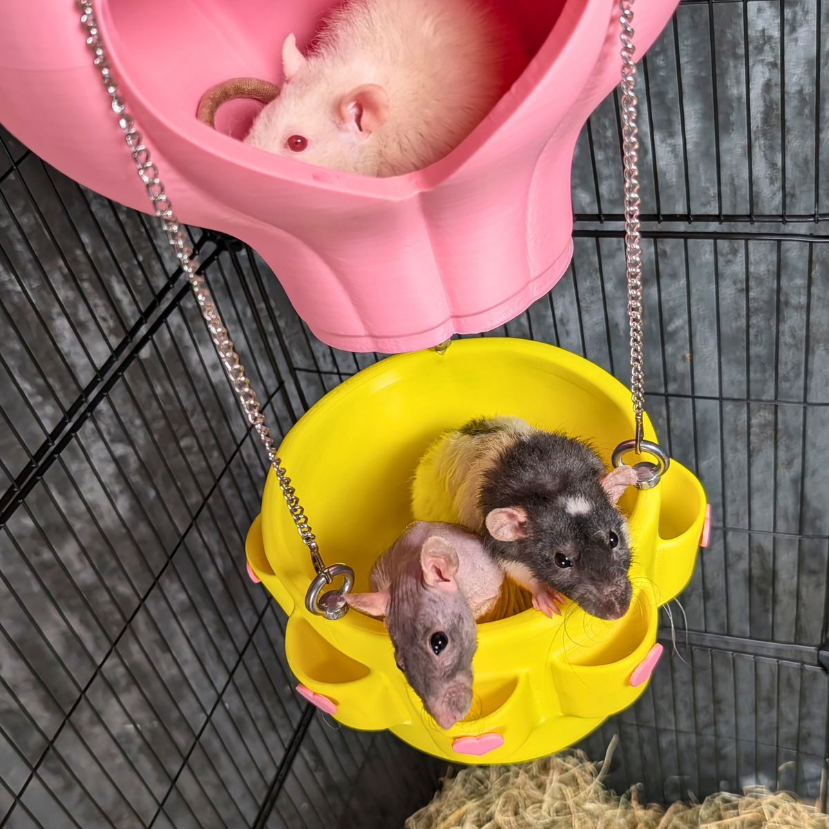 Hot Air Balloon Rat Basket front view showing entrance