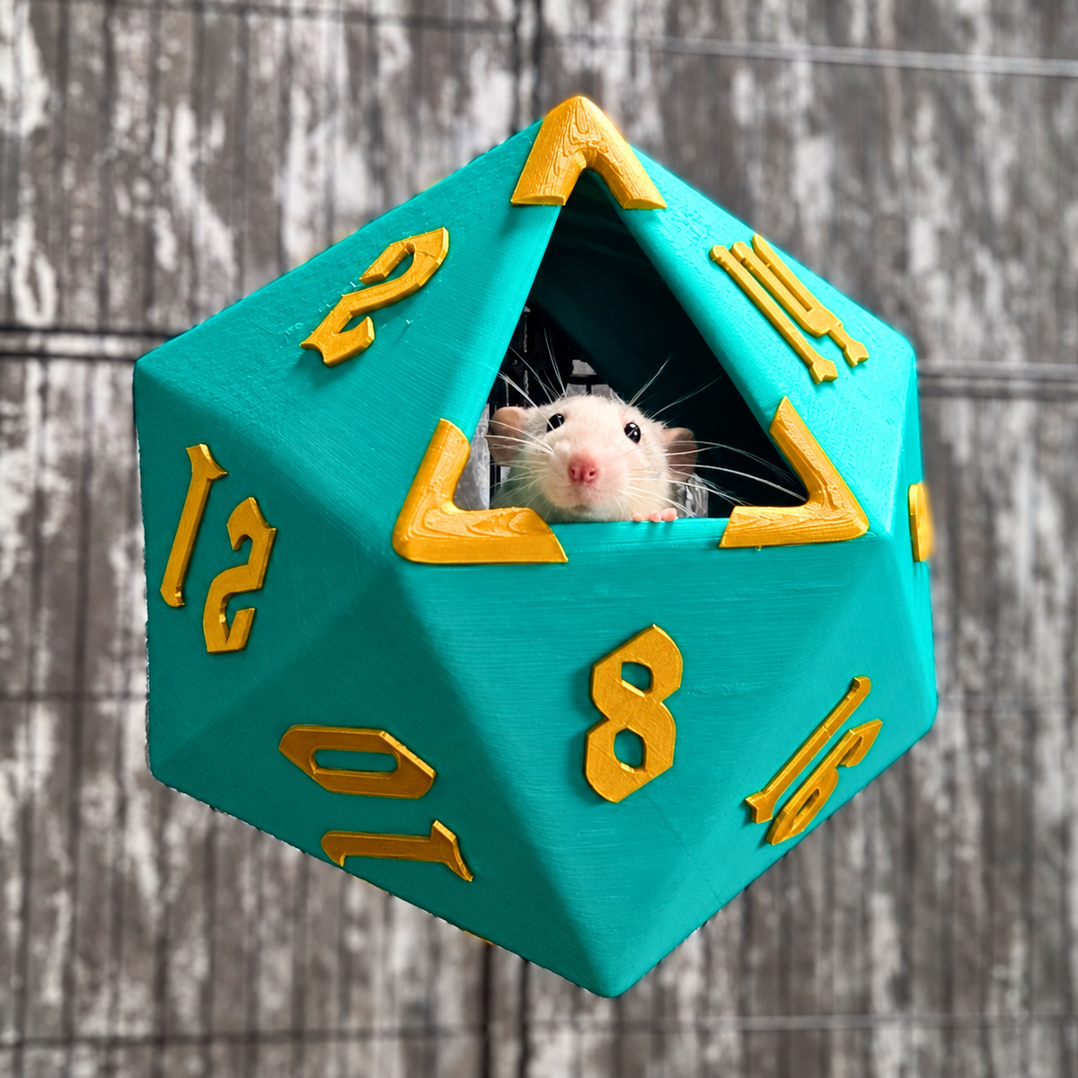 D20 rat hide