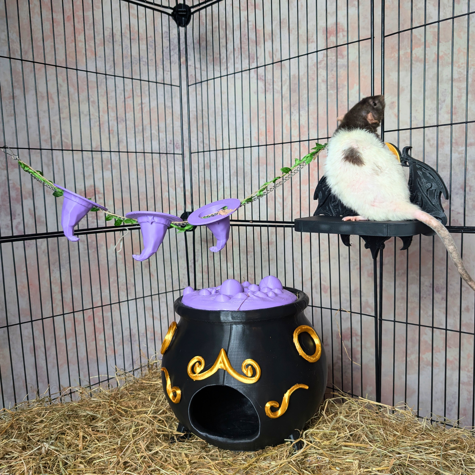 3-Piece Witch Enrichment Set size reference with hand for scale