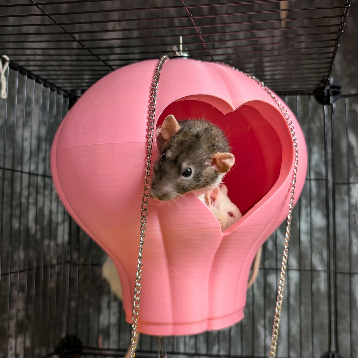 Hot Air Balloon Rat Basket side profile view