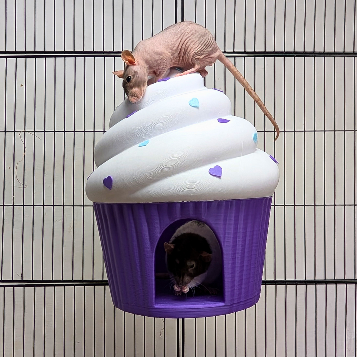 Cupcake Rat Hide & Bed side profile view