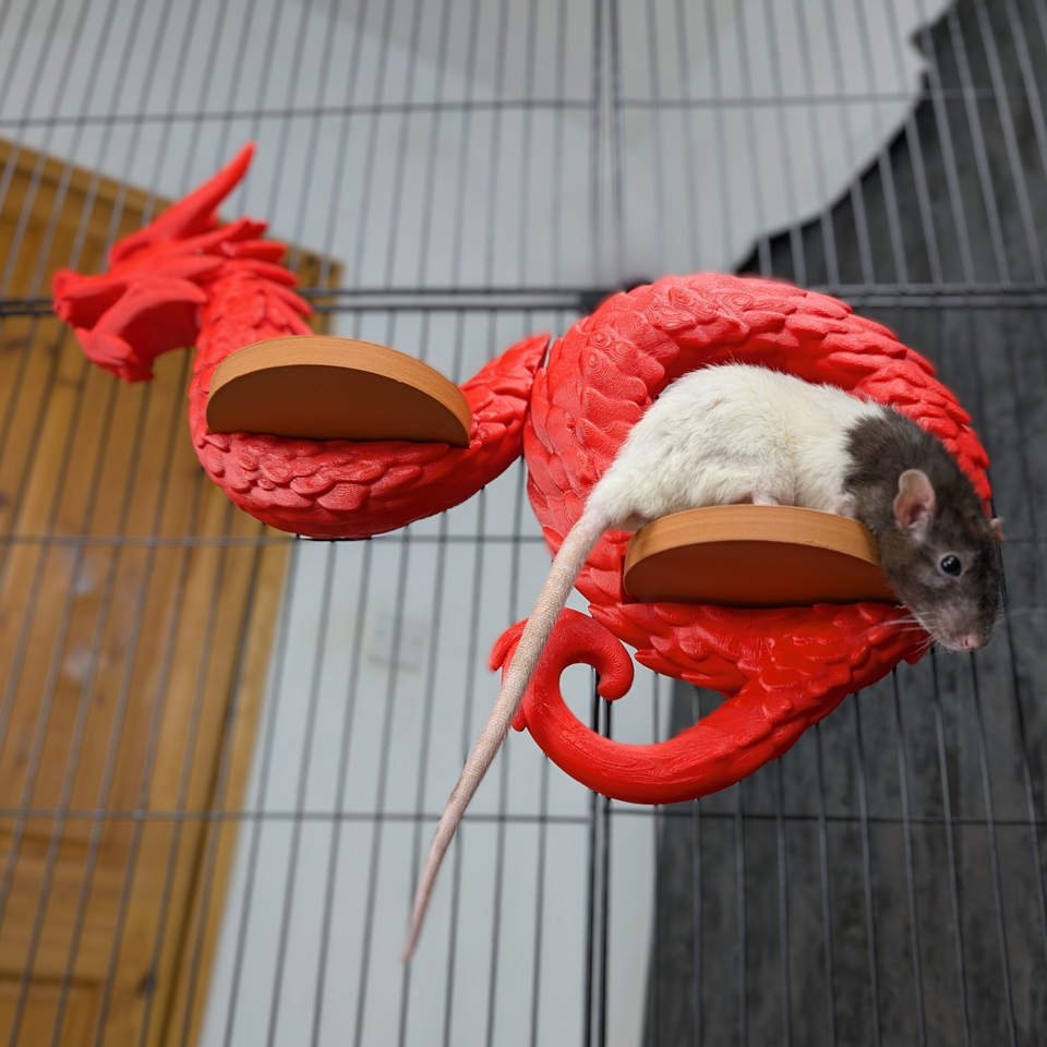 Dragon Rat Shelf Set attachment mechanism close-up