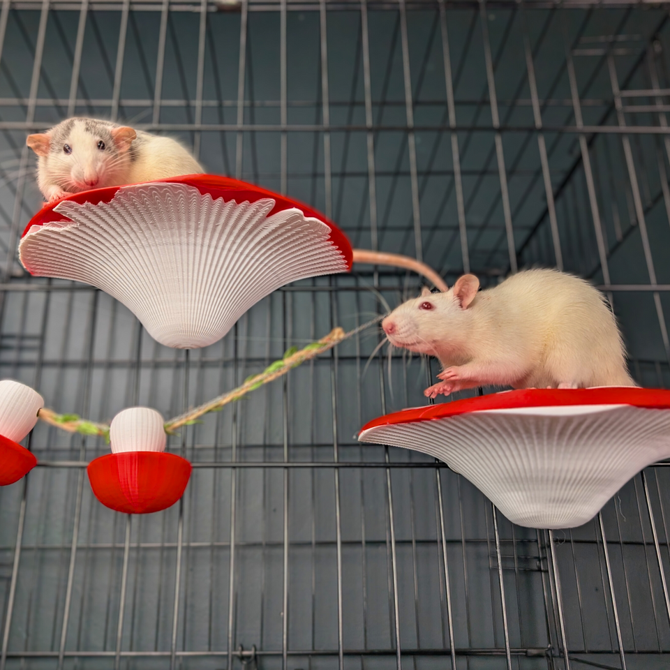 Mushroom Rat Shelf Pair mounted on cage bars