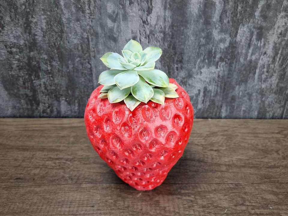 Strawberry & Chocolate Planter product packaging and presentation