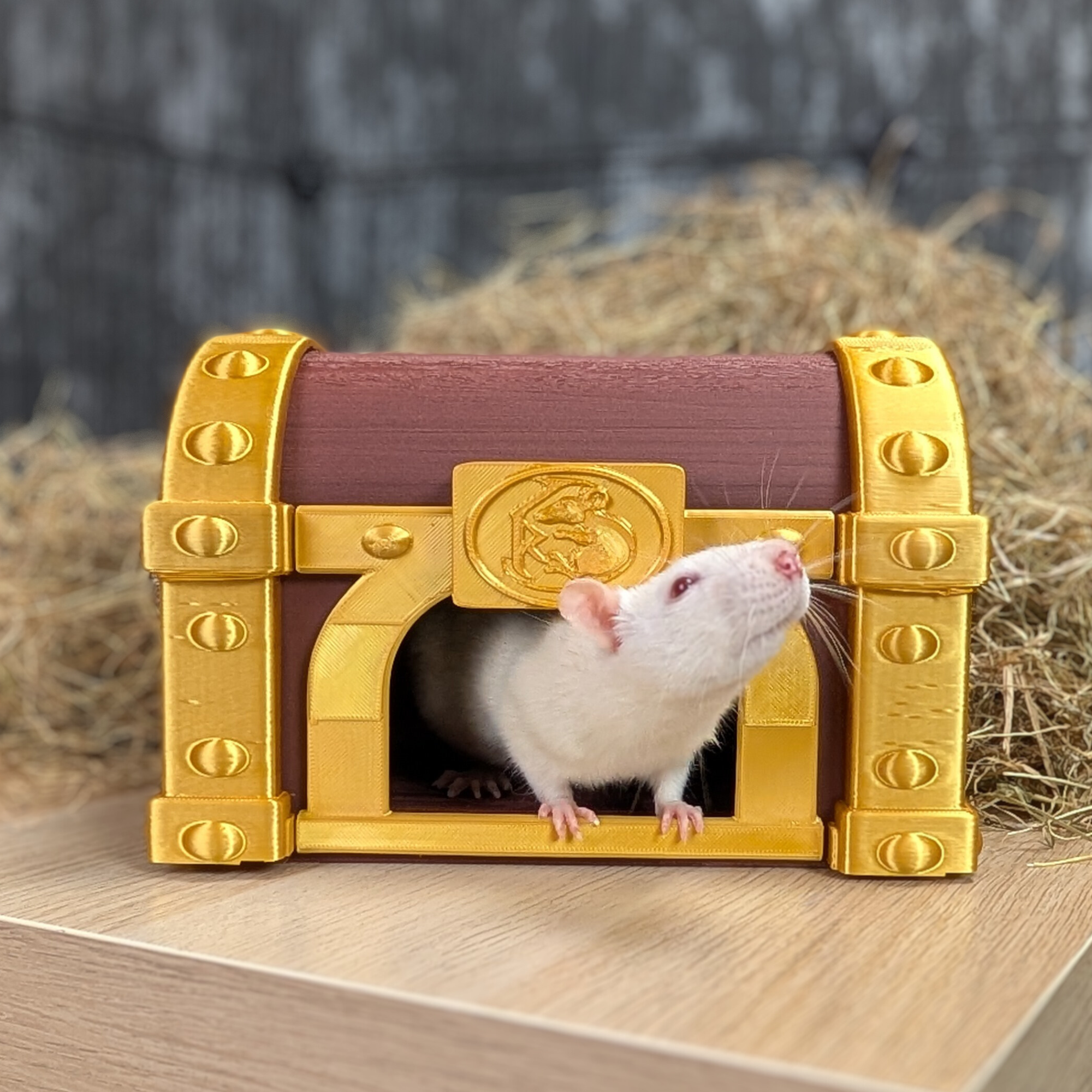 Treasure Chest Rat Hide