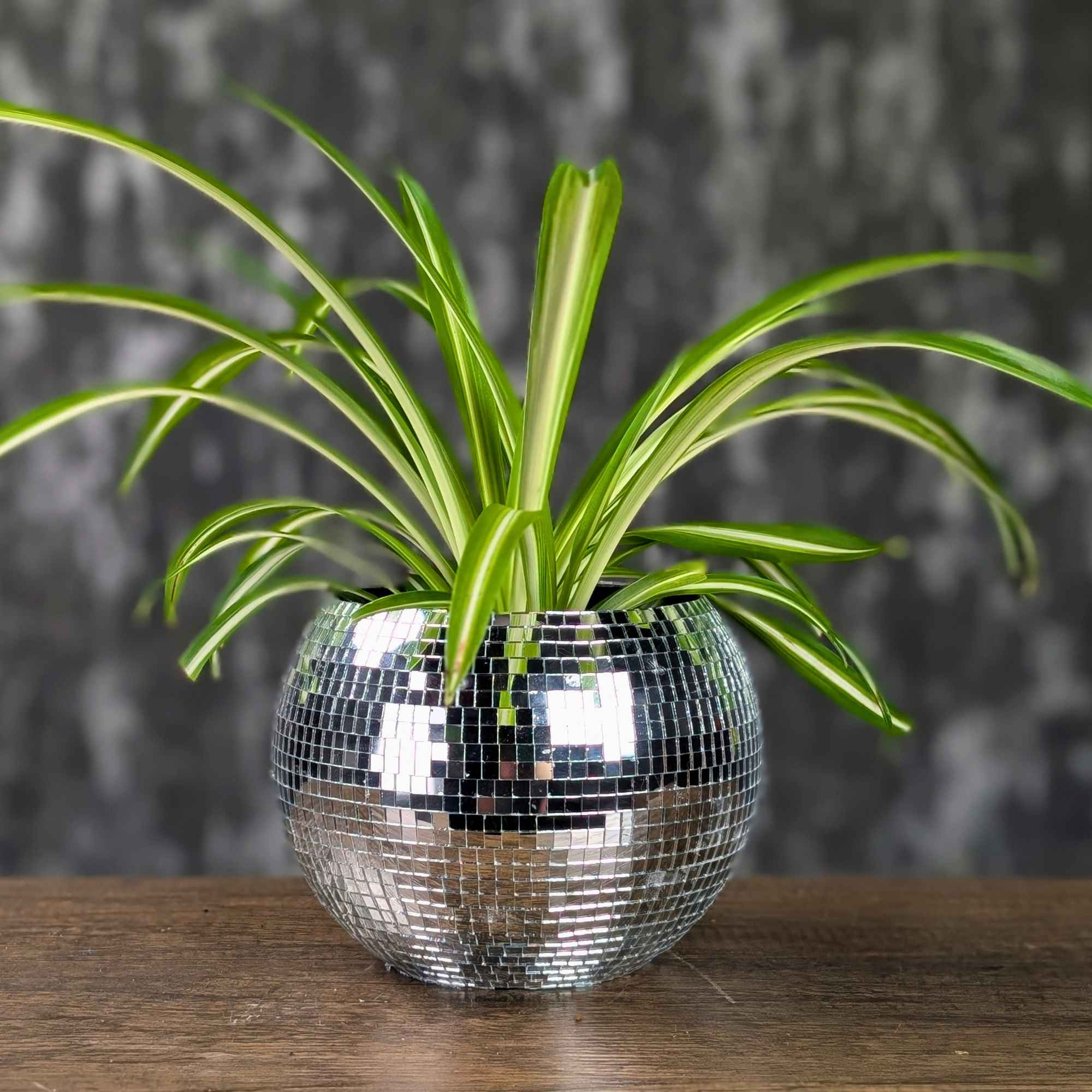Disco Ball Hanging Planter