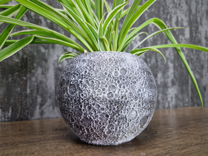 Moon Planter