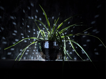 Hanging Disco Ball Planter