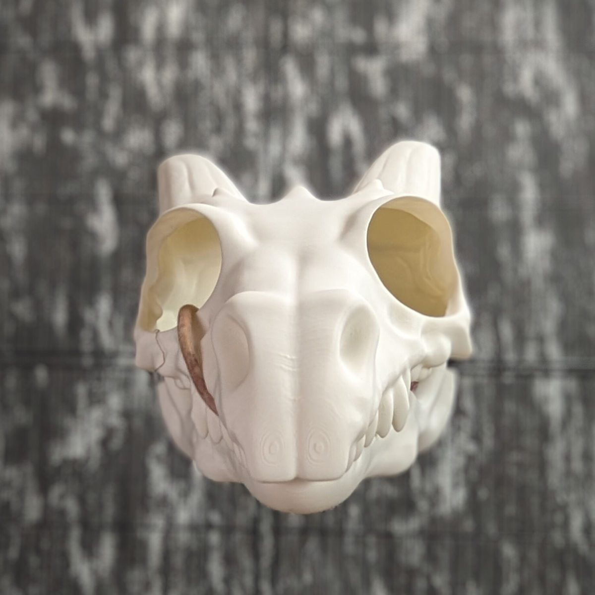 Dragon Skull Rat Hide product packaging and presentation