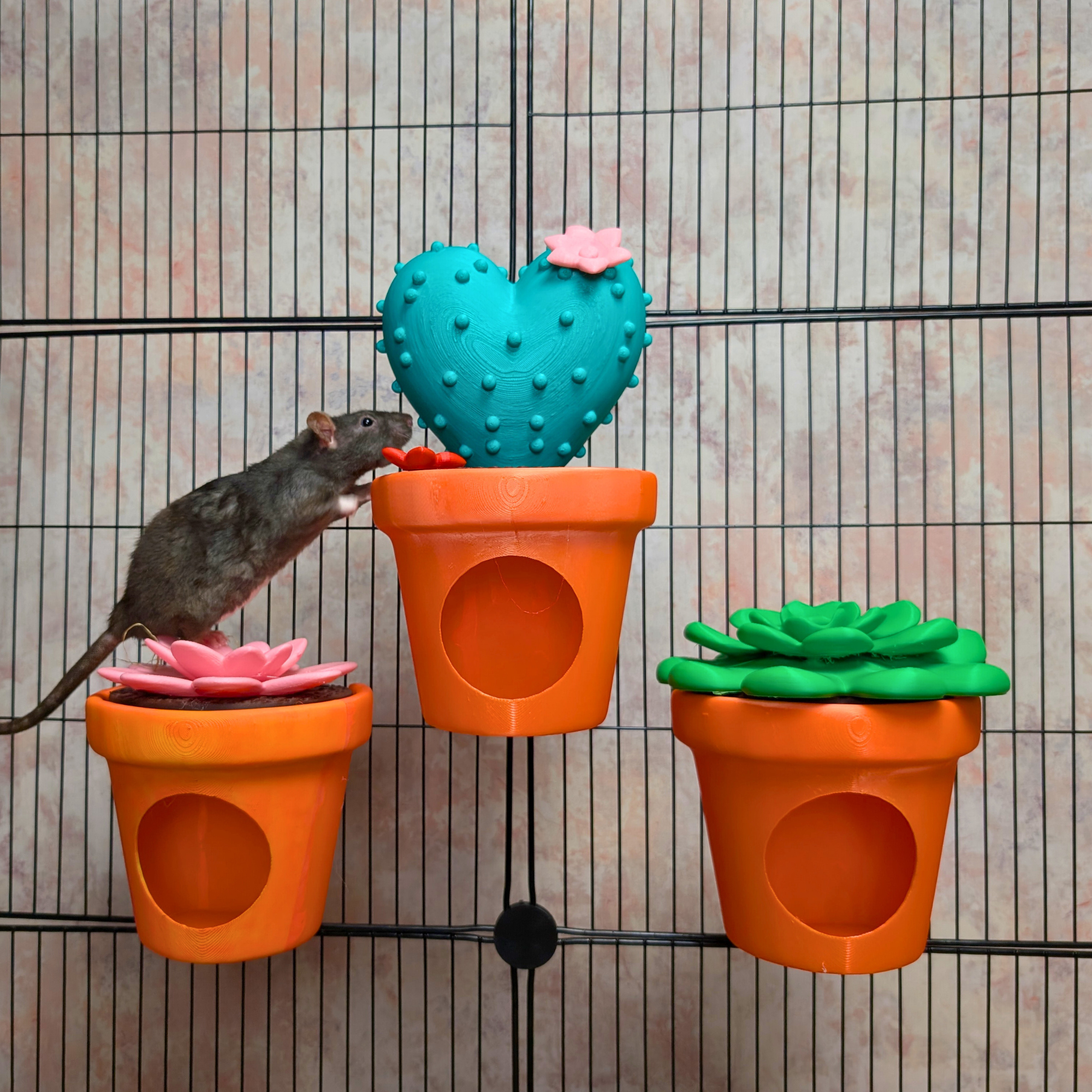 Rat Hide Cactus Pot | 3D Printed Small Animal House