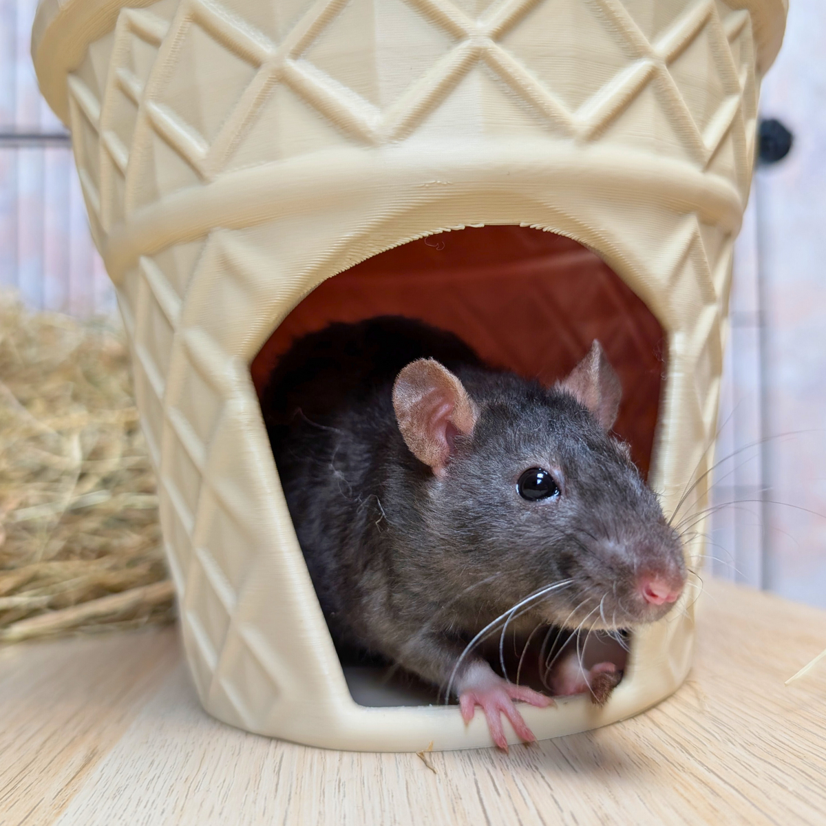 Ice Cream Cone Rat Hide front view showing entrance