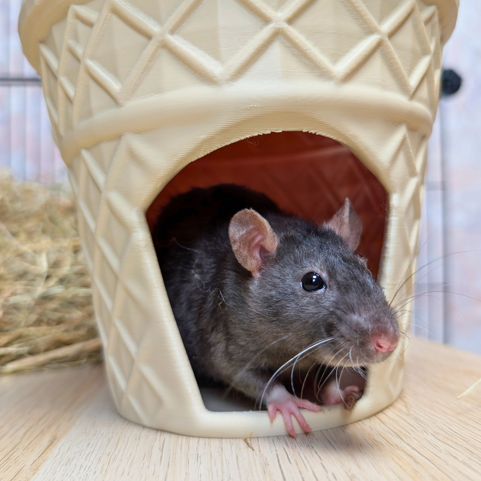 Ice Cream Cone Rat Hide front view showing entrance