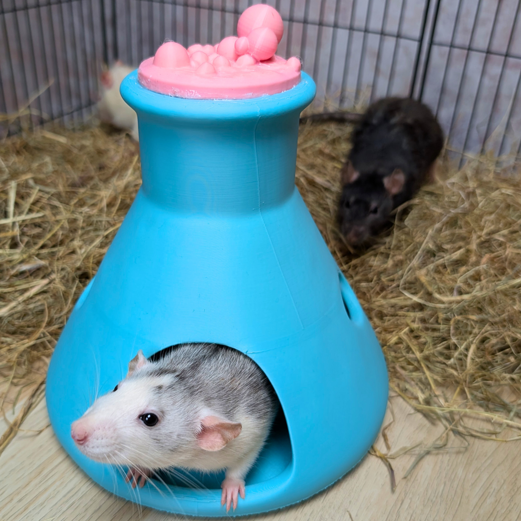 Rat House | 3D Printed Science Flask Hideout