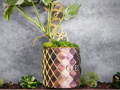 Dragon Scale Planter