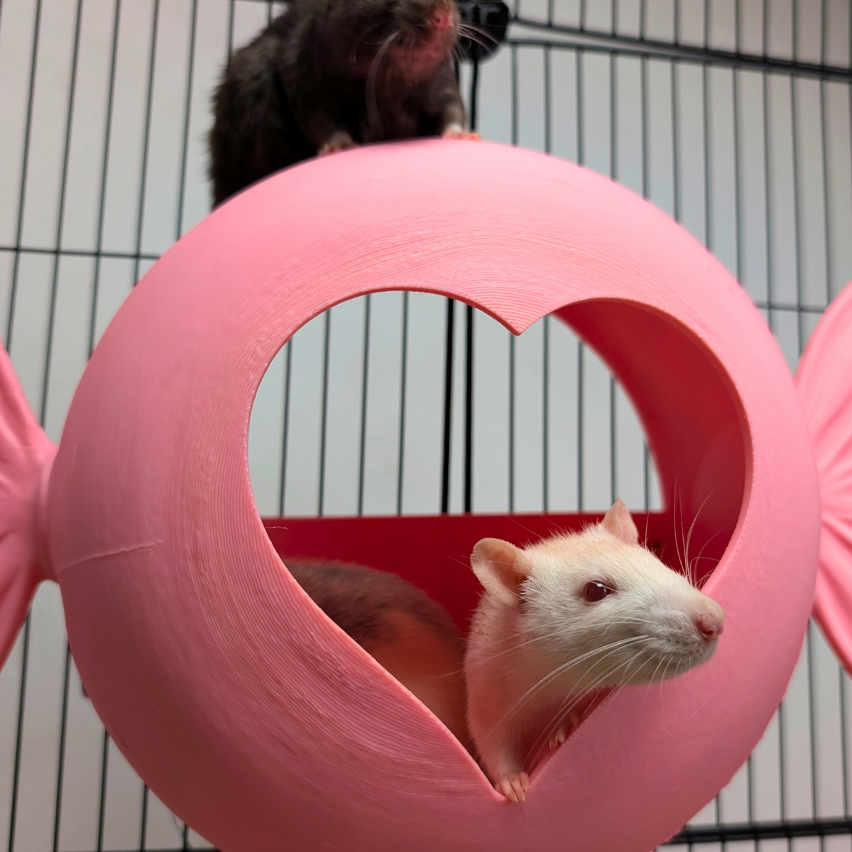 Sweetheart Hideaway size reference with hand for scale