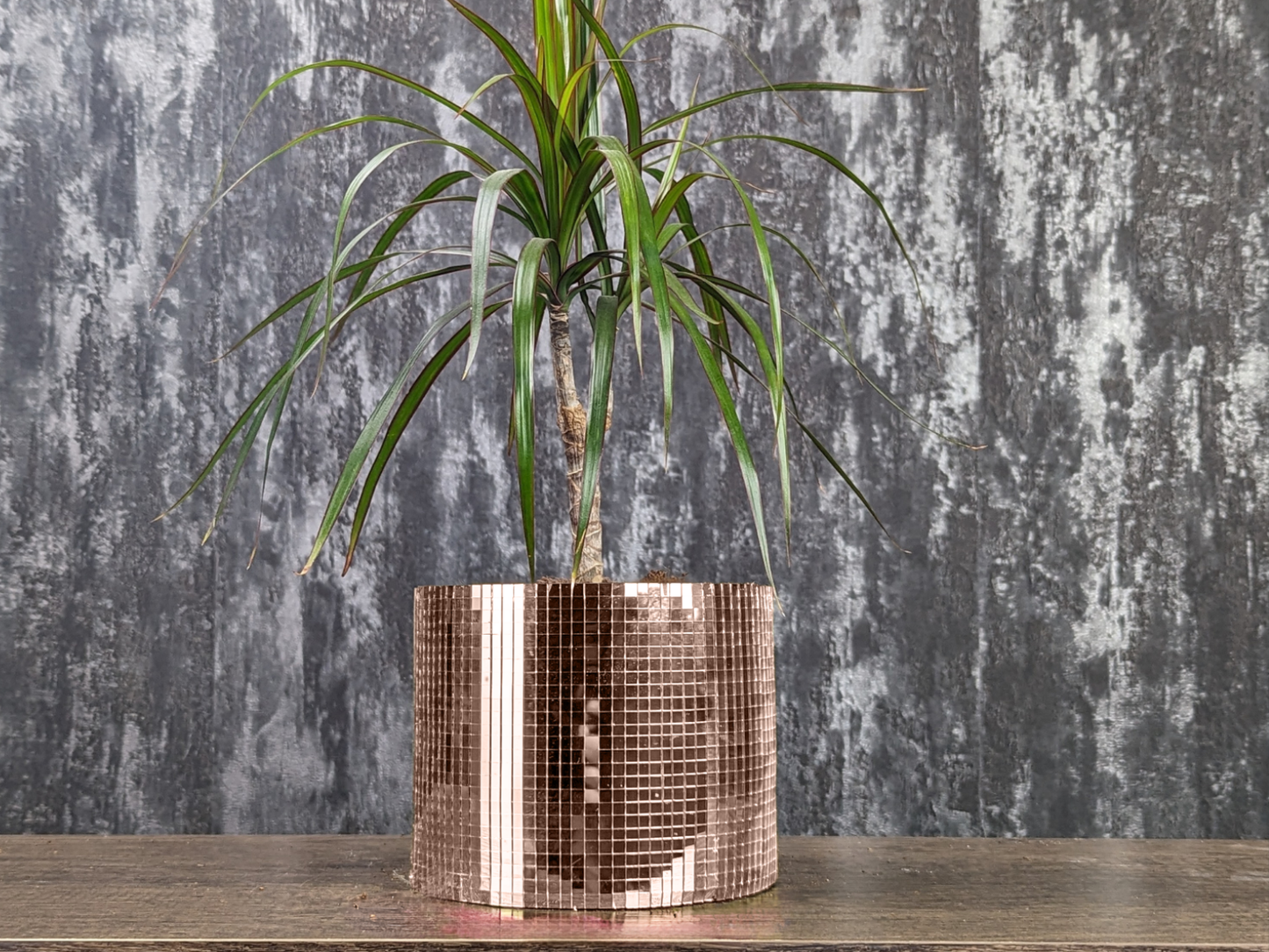 Disco Ball Plant Pot