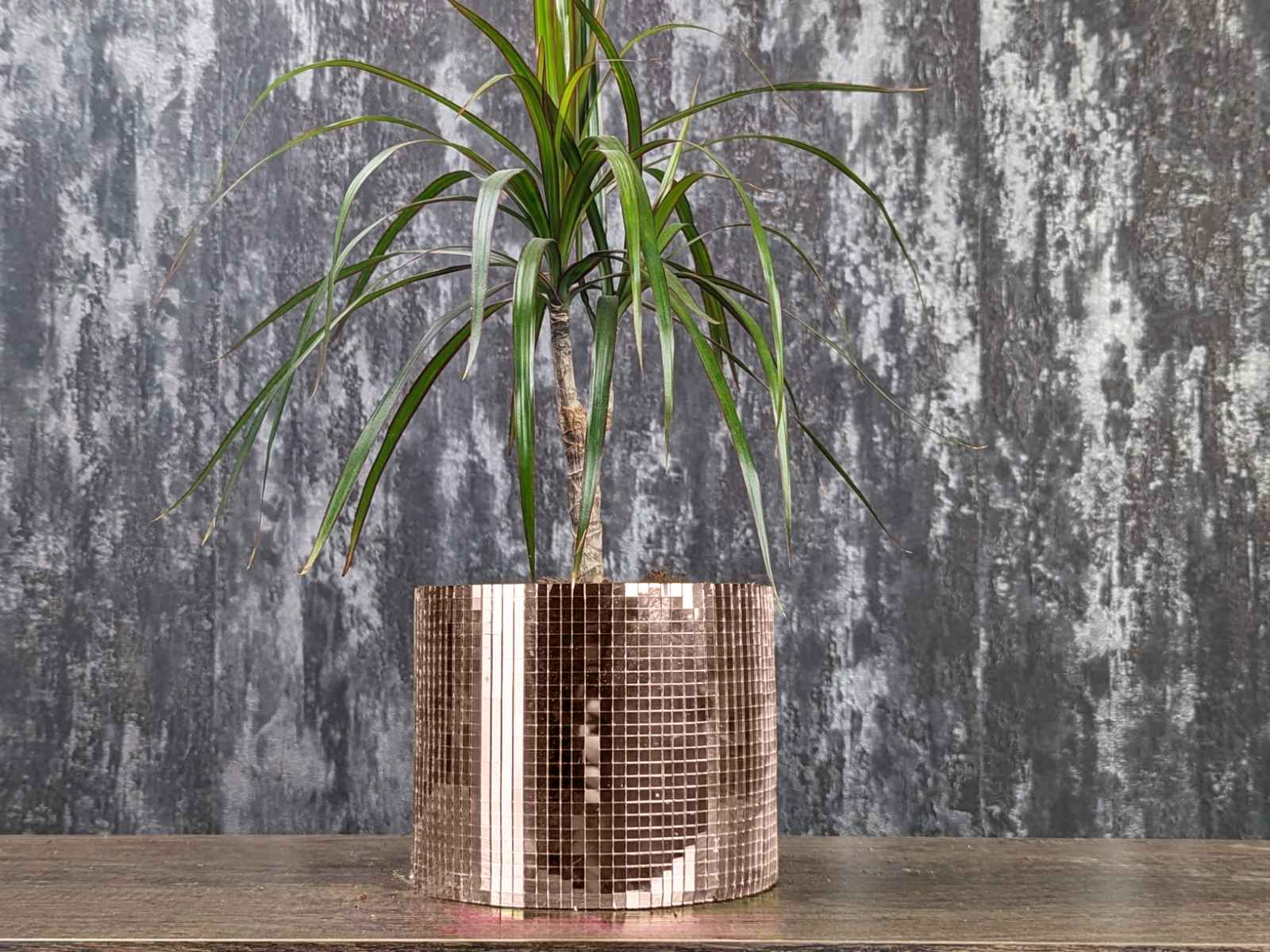 Disco Ball Plant Pot