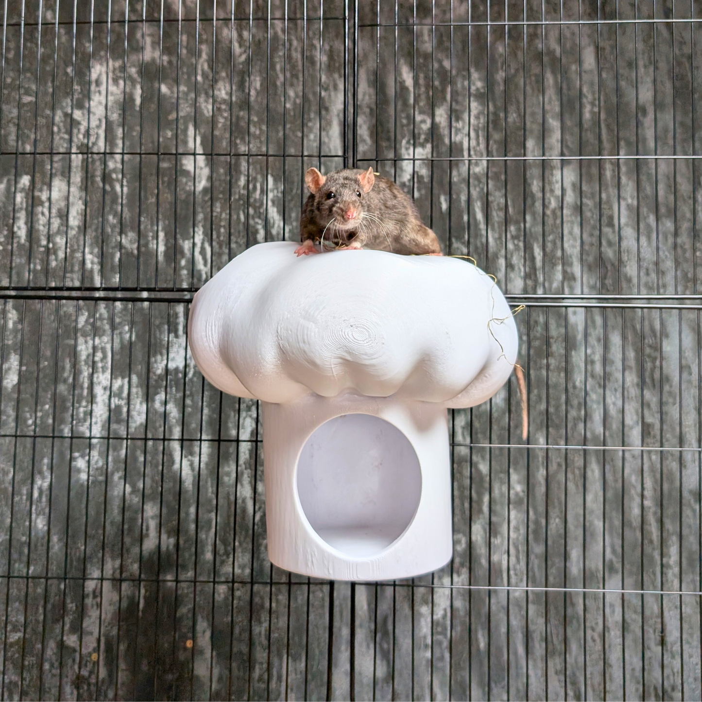 Chef Hat Rat Hide & Bed