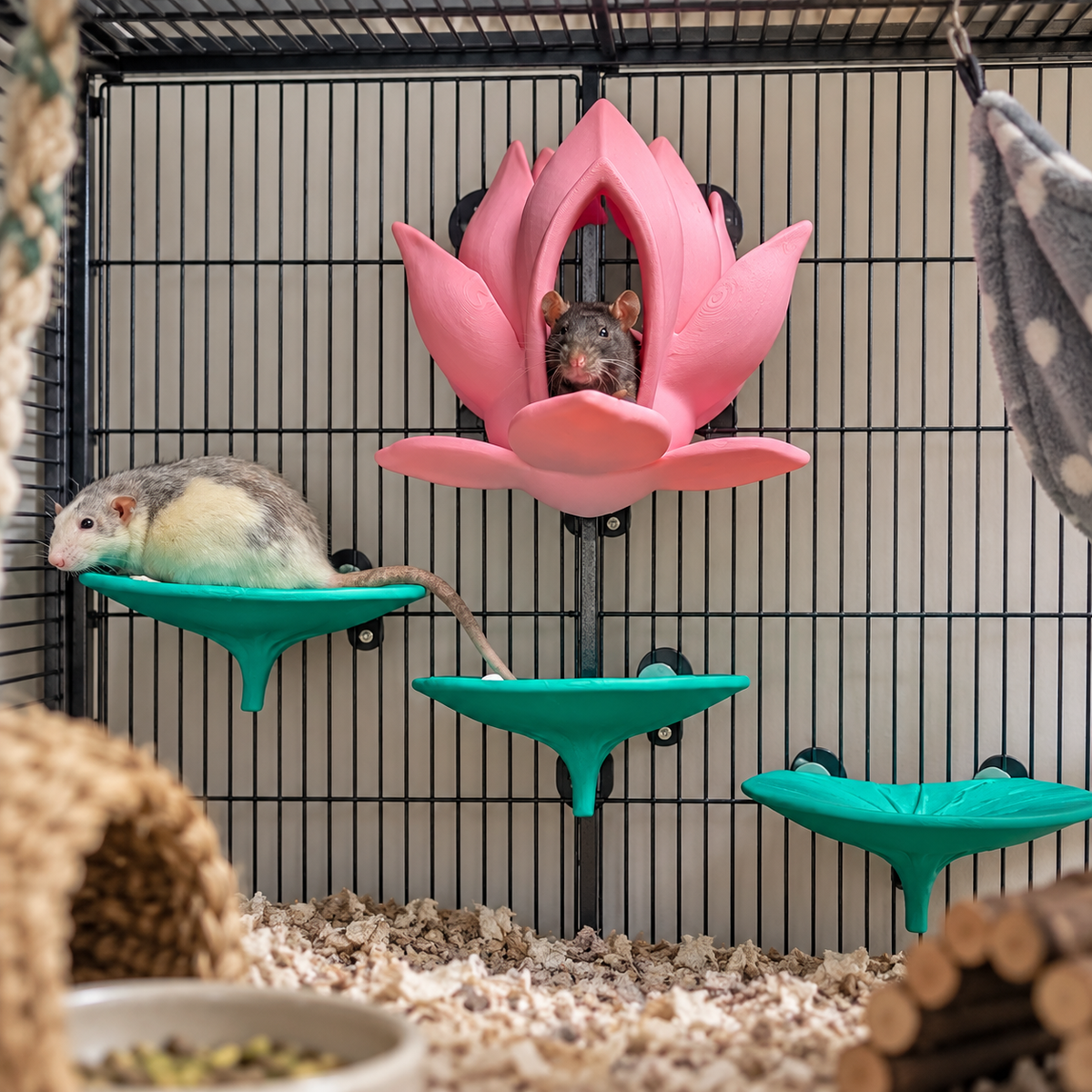 Lily flower bed & perches